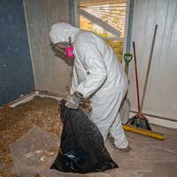 Asbestos Inspections, Cost Estimates & Abatement